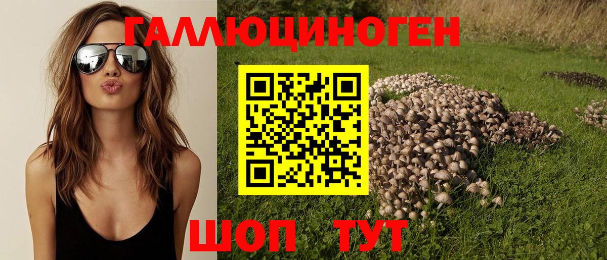 Галлюциногенные грибы мухоморы Ленинск-Кузнецкий