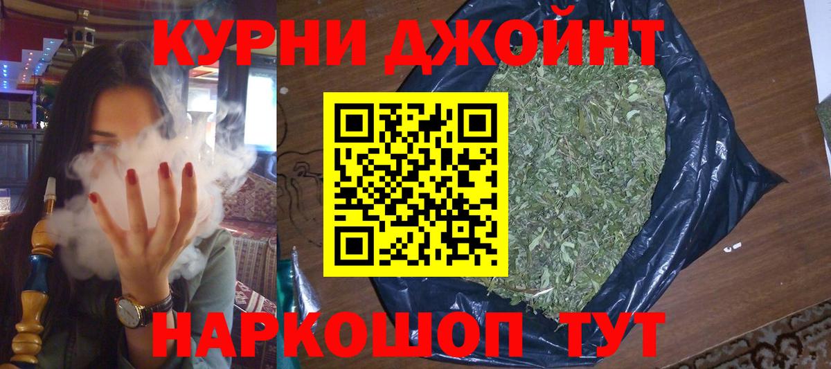 Конопля сатива Ленинск-Кузнецкий